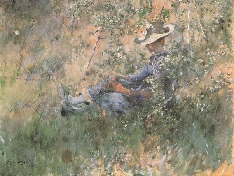 Carl Larsson Girl Among the Hawthorn Blossoms Spain oil painting art
